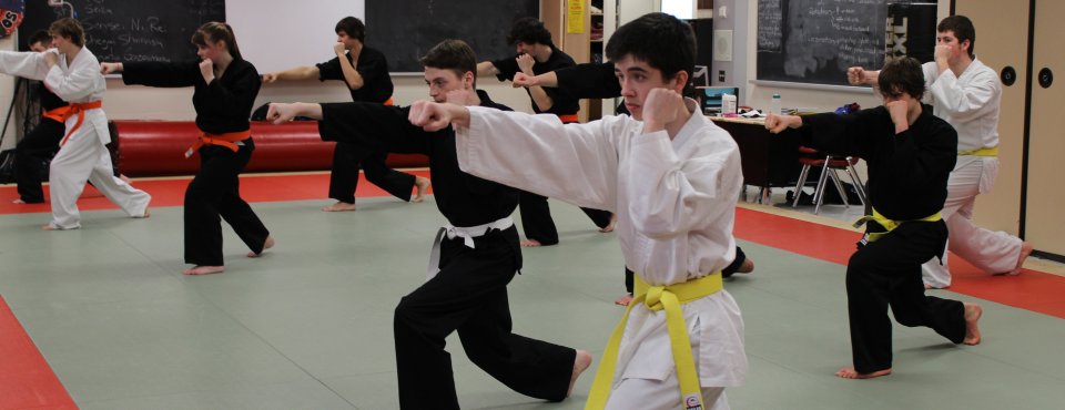 About Martial Arts at CWDHS